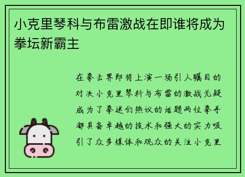 小克里琴科与布雷激战在即谁将成为拳坛新霸主