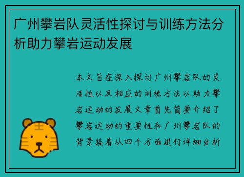 广州攀岩队灵活性探讨与训练方法分析助力攀岩运动发展